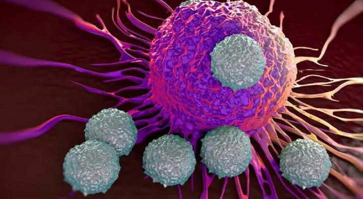 Identifican genes que permiten a células del cáncer eludir el sistema inmune