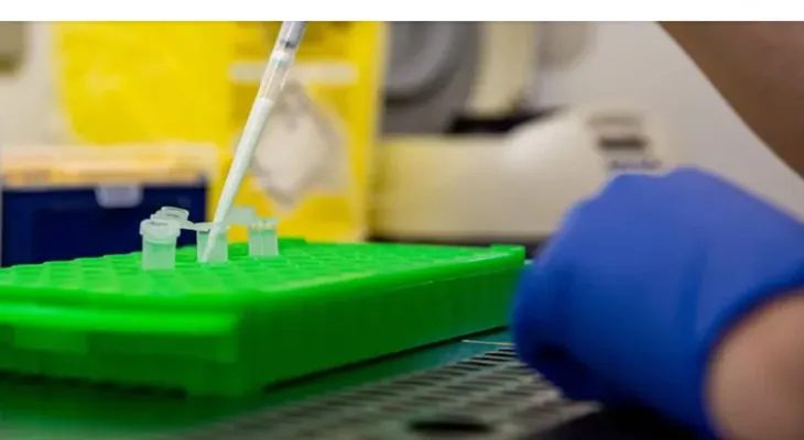 OMS confirma seis casos de hantavirus tras nuevo positivo