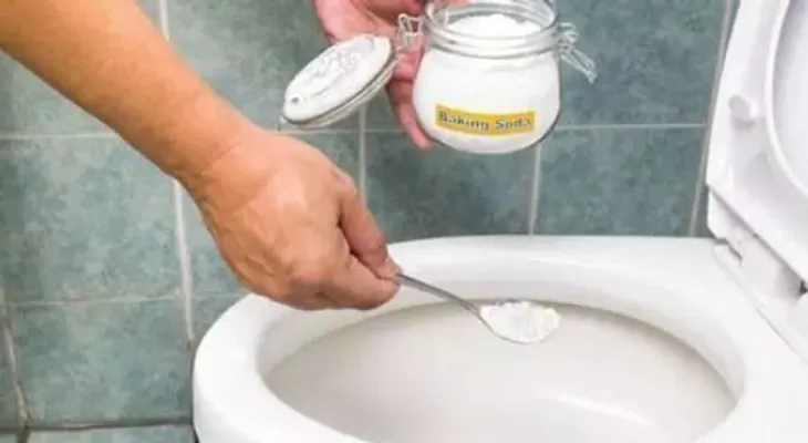 Ingredientes para que tu inodoro huela bien y estupendo para que lo usen las visitas
