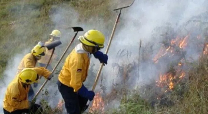 Alertan que la exposición al humo daña al organismo