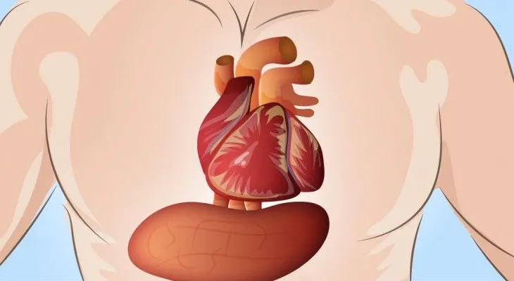 Estudio demuestra la cola light es peor de lo que creíamos: aumenta probabilidad morir por un ataque al corazón