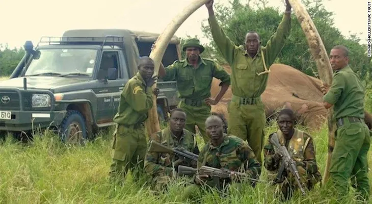Cazadores matan a un emblemático elefante de colmillos gigantes de Kenya