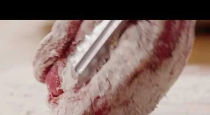 Colocó carne sobre un colchón de cebollas; tiene que ver el resultado (VIDEO)