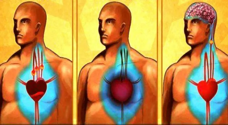 Consejos tradicionales: Cómo limpiar los vasos sanguíneos.