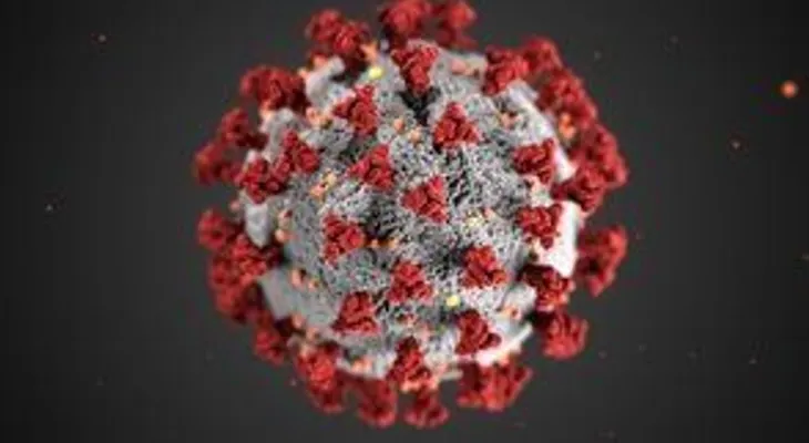 China halla una muestra viva de coronavirus en embalaje de bacalao congelado