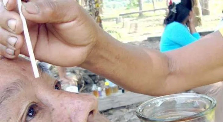 La miel y sus propiedades curativas (Video)