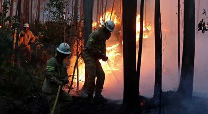 Suman 57 los muertos por fuegos forestales en Portugal; algunos quedaron atrapadas en sus autos