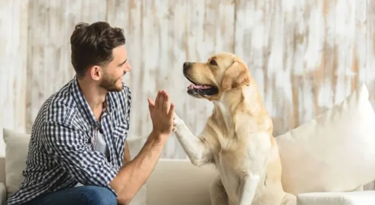 ¿Qué mascota es más beneficiosa para a nuestra salud?