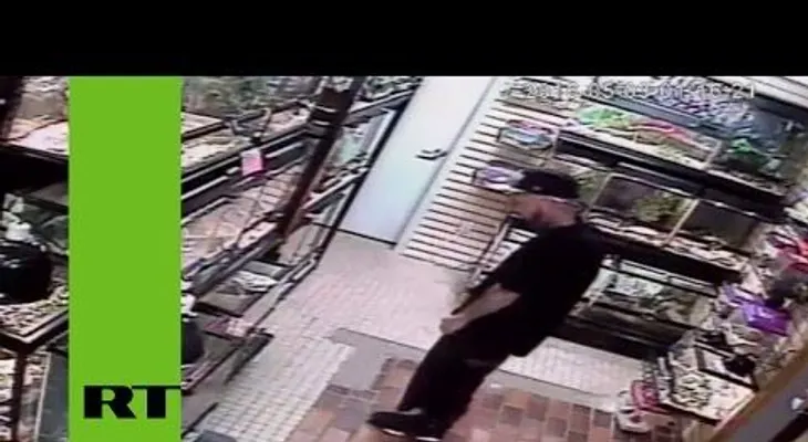 Un ladrón con una extraña afición por las serpientes