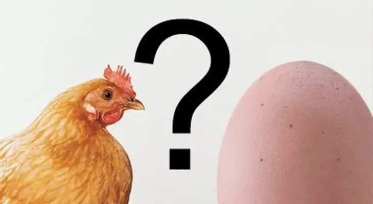 ¡Por Fin Misterio resuelto!¨ Científicos responden si fue antes el huevo o la gallina