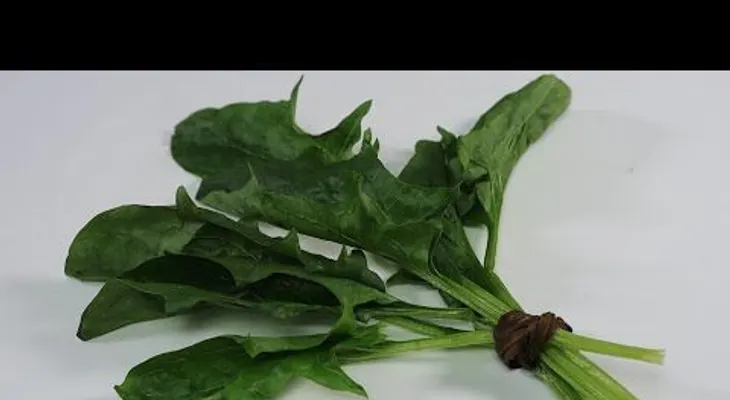 Hoja para limpiar los intestinos y acabar con las bacterias