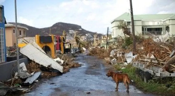  Al menos 15 muertos y 20 desaparecidos en Dominica a causa del paso de María 
