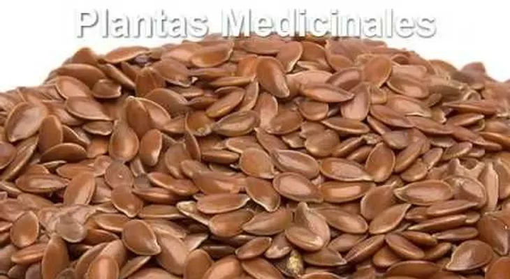 Remedio para inflamacion del estomago (Video)