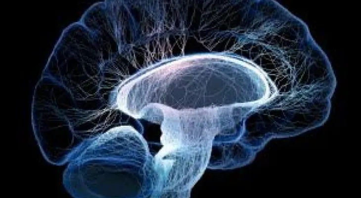 Daño neuronal provoca la disminución del volumen del cerebro