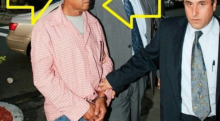 Siete en estado de gravedad, por derrumbe anaqueles en tienda de descuento en El Bronx