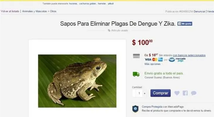 En sitios online venden ranas y sapos como solución para el dengue y el zika