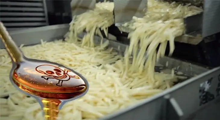Las Papas Fritas de McDonalds tiene un ingrediente de la Plastilina y Químicos derivados del Petróleo