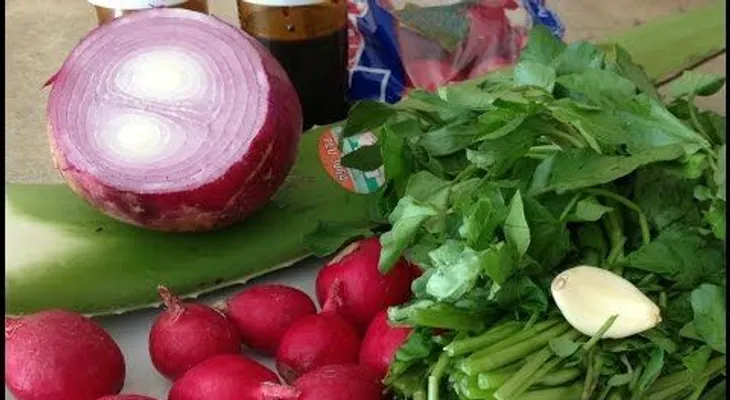 Remedios caseros para limpiar los pulmones