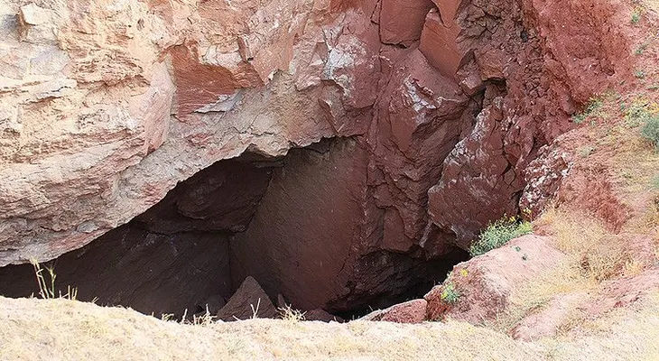 Hallan un animal troglodita de género totalmente desconocido