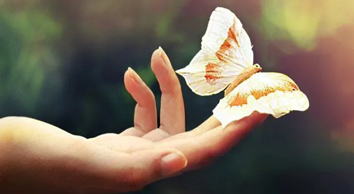 Las 4 leyes del desapego para la liberación emocional