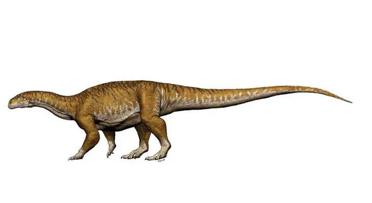 Descubren en Argentina el primer dinosaurio gigante que habitó la Tierra: hace más de 200 millones de años