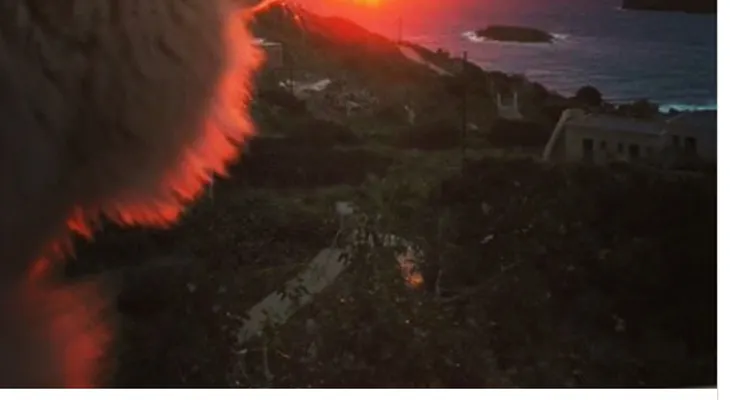 ¡Cuida gatos en una isla de Grecia!