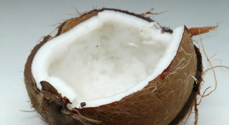 Te sorprenderás cuando descubra lo que hace el aceite de coco, según nuevas investigaciones