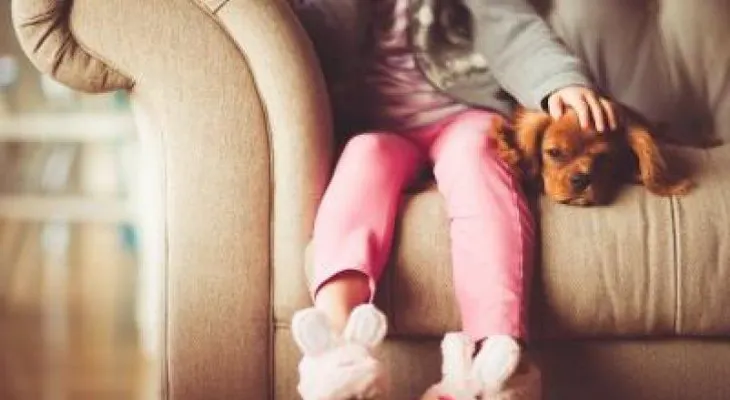 Tener perro podría reducir el riesgo de alergias y obesidad