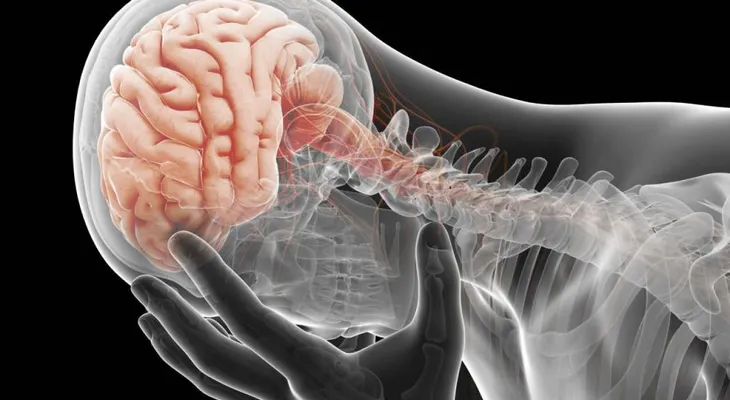 ¿Qué ocurre en un cerebro con depresión?