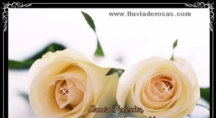 Rosas para el alma: ¡Decisiones!