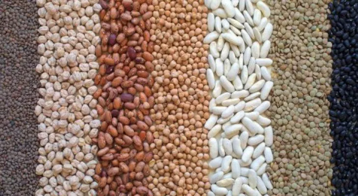 Legumbres, el alimento de 2016