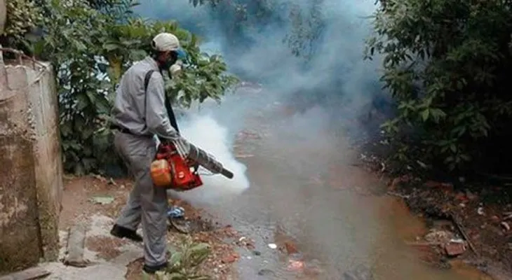 67% casos Chikungunya disminuyen en últimas seis semanas