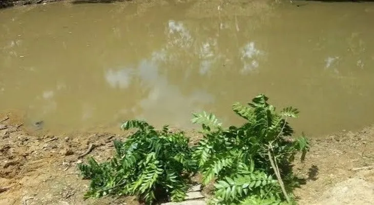 Dos hermanitas de 7 y 9 años mueren ahogadas en una laguna de La Vega