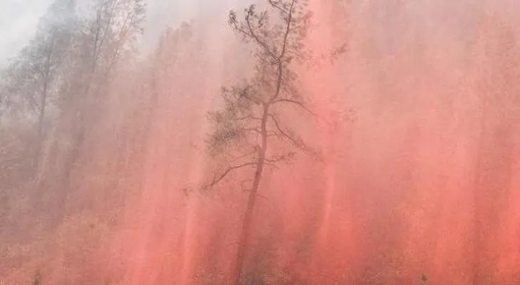 Incendio fuera de control en California comienza a quemar parque de Yosemite