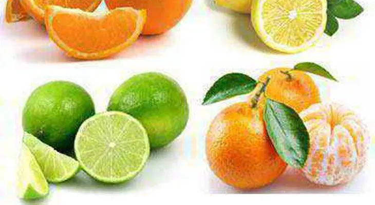 Limones, naranja y mandarina, ricas en vitamina C y antioxidantes