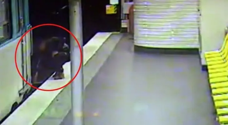 Primero le roba y después le salva la vida (VIDEO)