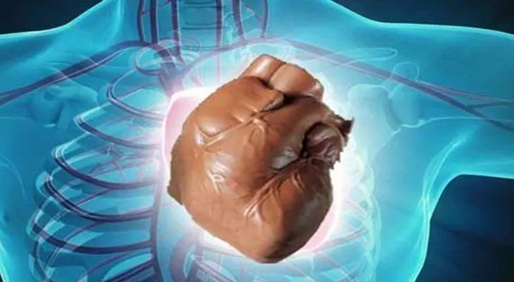El chocolate disminuye la diabetes, enfermedades del hígado y ataques cardiacos...Descubrelo