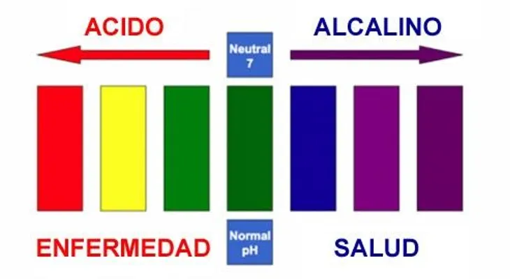 El cáncer es una enfermedad reversible. Lo único que tenemos que hacer es revertir las tres características de la célula cancerosa
