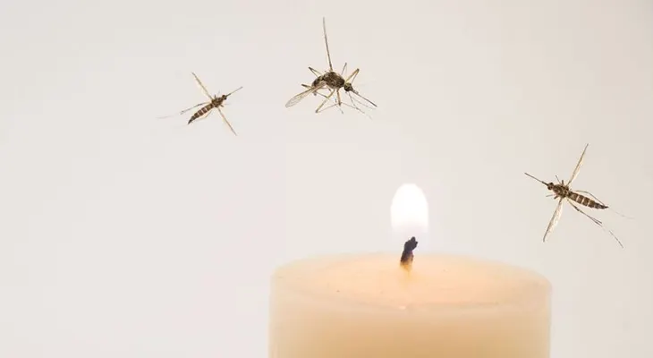 Una vela antimosquitos