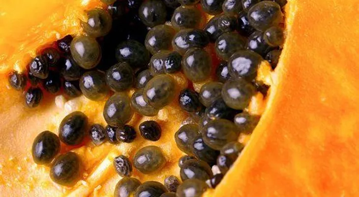 Los beneficios que no te habían dicho de las semillas de papaya