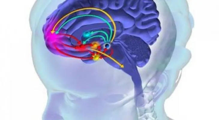 Así destrozan tu cerebro las drogas desde el primer momento