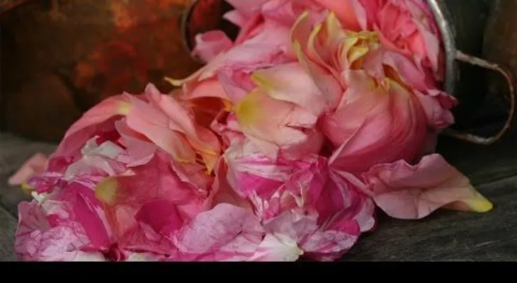  10 usos del agua de rosas para la belleza y la salud 