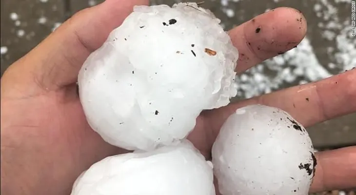 Una tormenta de granizo dejó dos animales muertos y 14 personas heridas en un zoológico de EE.UU.