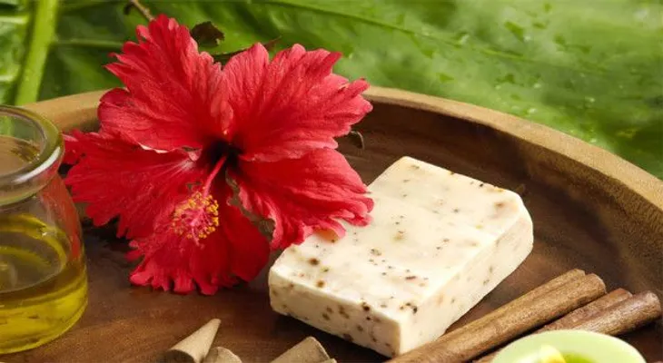 Una planta ayuda tu piel, cabello y la salud: Hibiscus 
