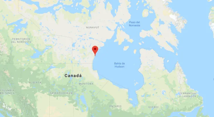 Un oso polar mata a un hombre en Canadá cuando trataba de proteger a sus niños