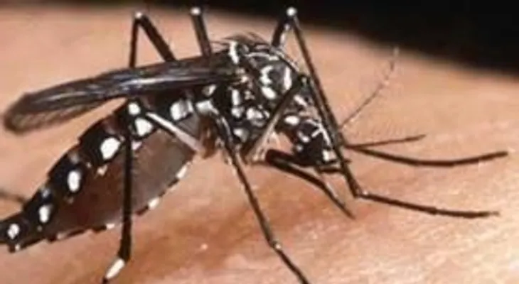 Joven de 21 años muere por dengue en Bonao