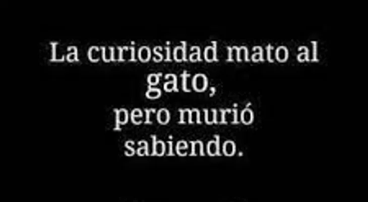 "La curiosidad mató al gato", pero murió sabiendo...