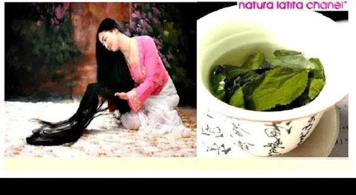 Este es el MEJOR remedio casero para hacer crecer el cabello