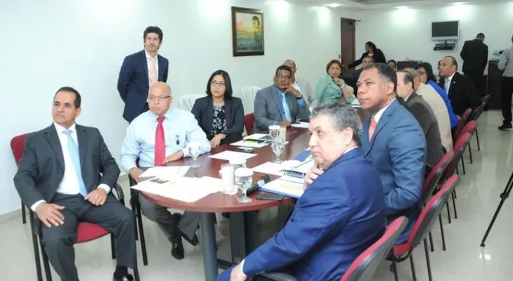 Edesur presenta plan estratégico a la Cámara de Diputados