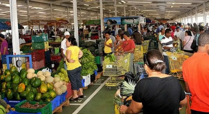  275 productores están instalados en el Merca Santo Domingo